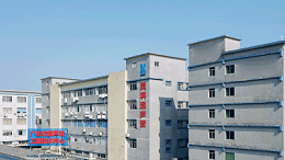 靈科超聲波：共舞職場(chǎng)新生態(tài)，賦能員工價(jià)值成長(zhǎng)